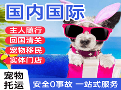 淮安航空快运国际宠物托运 【国